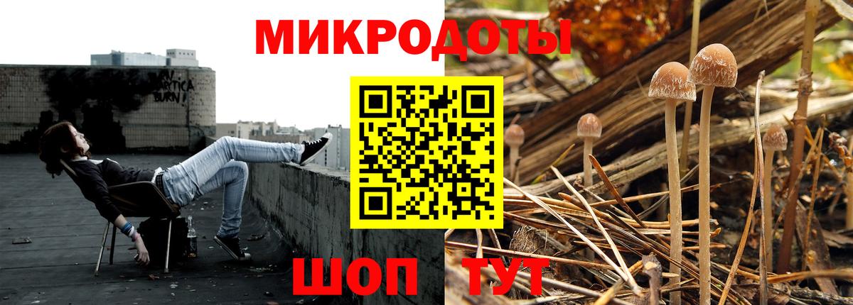 Псилоцибиновые грибы Cubensis  Вход с VPN  Псилоцибиновые грибы Cubensis  Озёры 